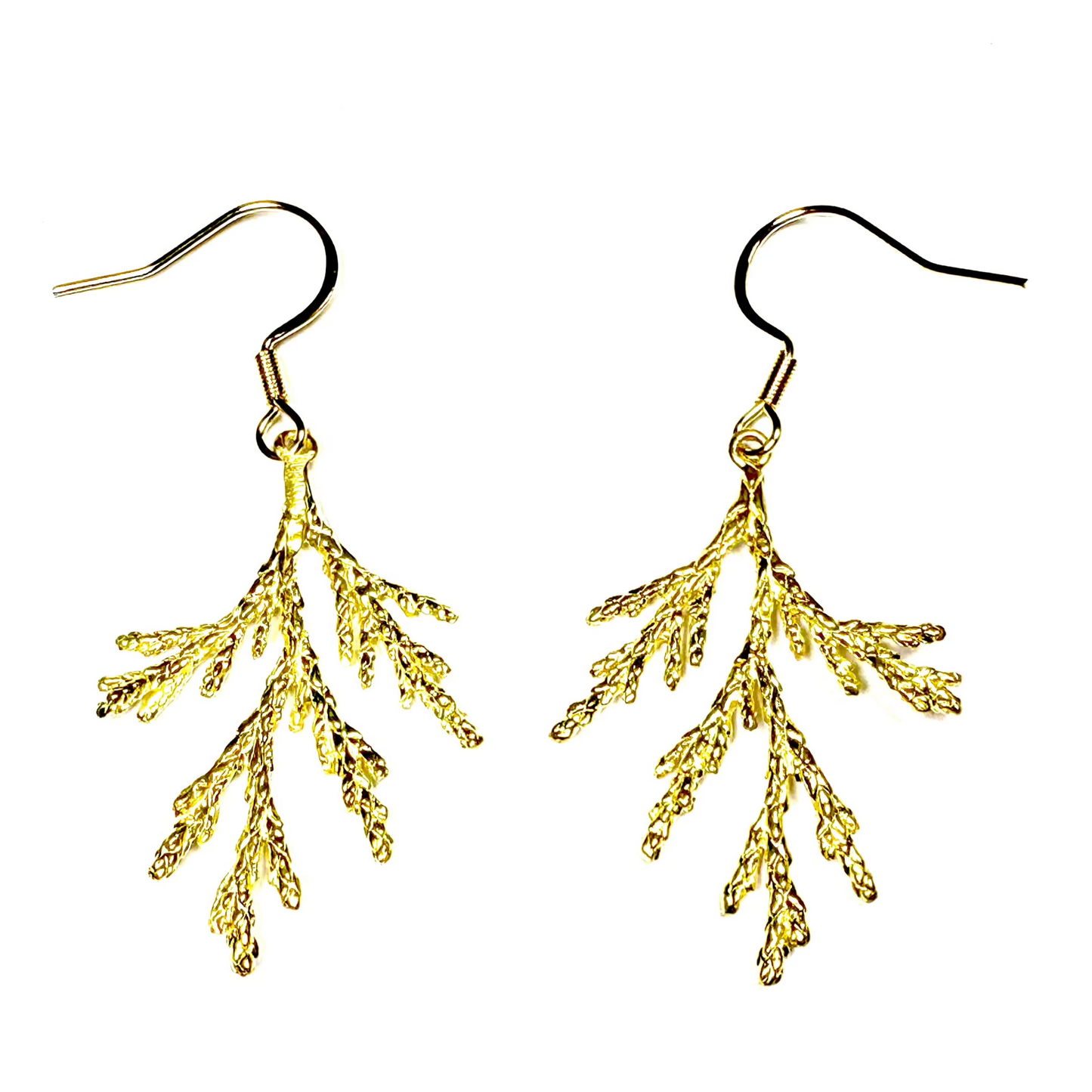 Cedar Earrings