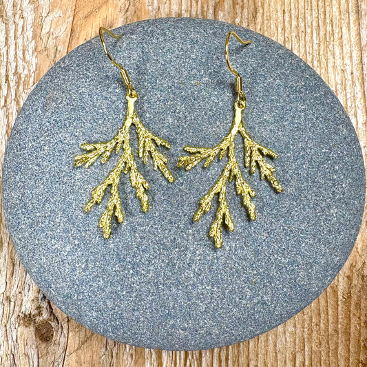 Cedar Earrings